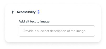 An image of a text field to input alt text with instructions to keep it succinct