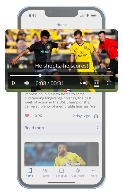 vid-controls.png